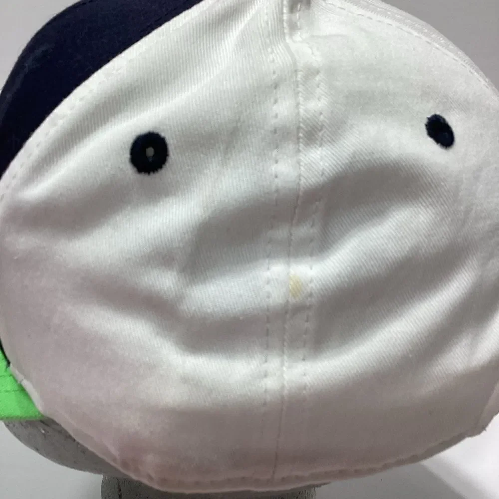 NFL seahawks hat